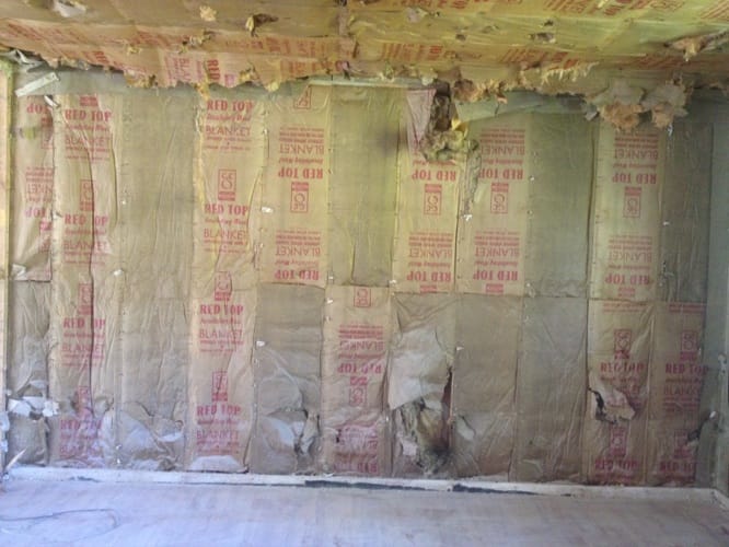 Gestion de projet, rénovation générale, design-construction 