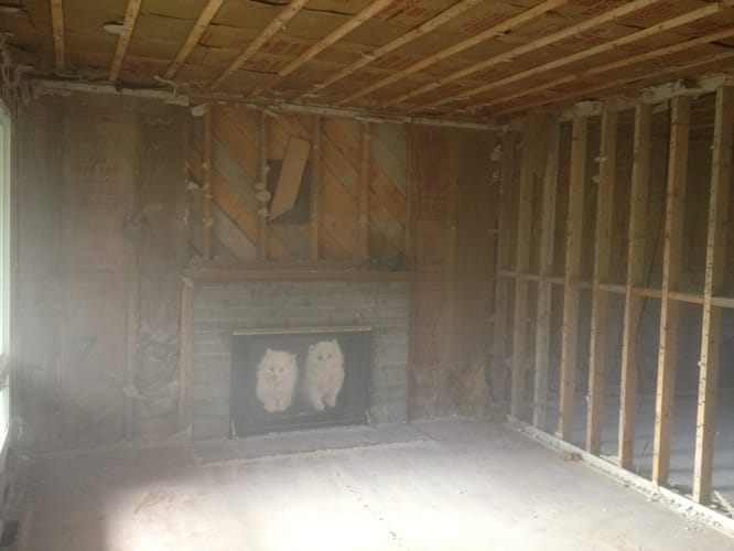 Gestion de projet, rénovation générale, design-construction 