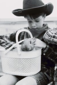 Poupon avec un lapin dans un panier, ambiance douce et chaleureuse.