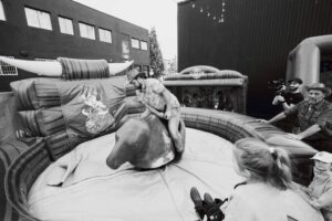 Cavalier sur un poney lors d'une activité pour enfants organisée par A+.