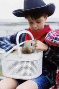 Enfant avec un lapin dans un panier blanc, illustrant la douceur et la soin dans un environnement de.