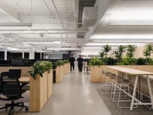 Bureau moderne à Montréal avec espace de coworking et plantes vertes, tendance pour le marché immobi.
