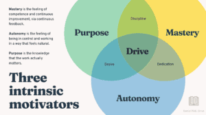 Trois motivateurs intrinsèques : but, maîtrise, autonomie, dans un diagramme coloré.