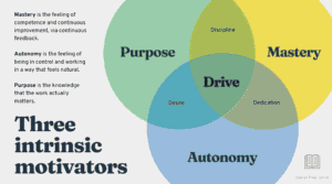 Diagramme illustrant la motivation intrinsèque et l'autonomie au travail.